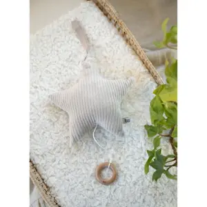 Baby Music Box Baby's Only Sense image-2
