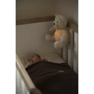 Baby plush toy Baby's Only Bo l'ours image-5