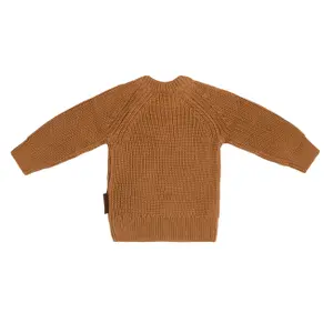 Baby sweater Baby's Only Soul image-1