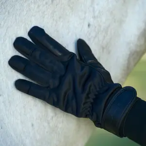 Thin Gloves Back on Track image-3
