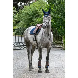 Closed horse gaiters Back on Track Airflow image-2