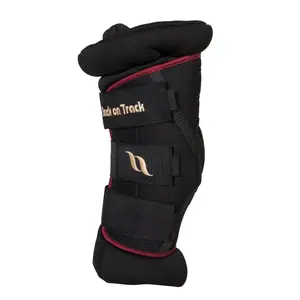 Closed horse boots Back on Track Royal Padded image-0