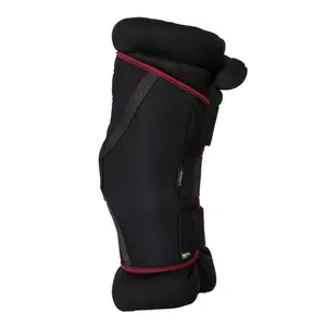 Closed horse boots Back on Track Royal Padded image-2