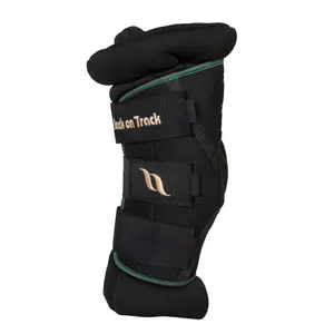 Closed horse boots Back on Track Royal Padded image-0