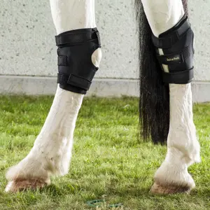 Hock protection for horses Back on Track Therapeutic image-2