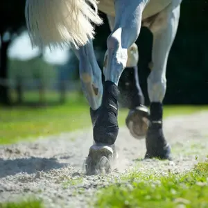 Front Work Gaiters Back on Track image-2