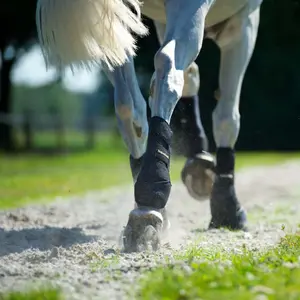 Work Gaiters Back on Track image-1