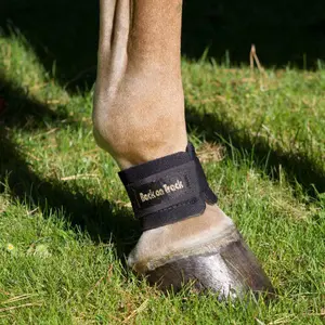 Pastern Guard Back on Track image-3