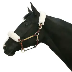 Girth Headcollar Back on Track image-0