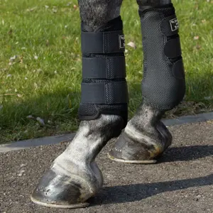 3D Gaiters Back on Track mesh image-1