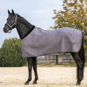 Horse Rug Back on Track haze collection image-1
