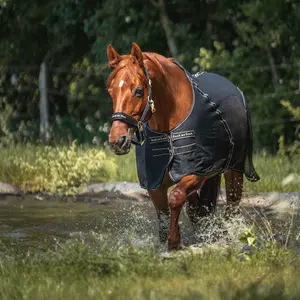 Shirt for horse Back on Track sienna image-1