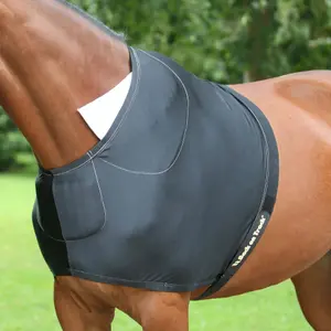Shoulder protector for horses Back on Track image-0