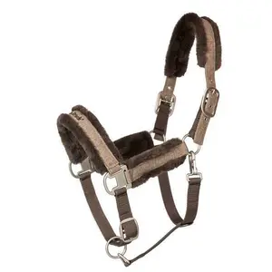 Halter Back on Track Haze Collection image-1