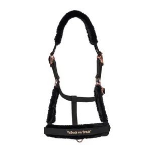 Halter for horse Back on Track Haze image-0
