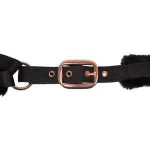 Halter for horse Back on Track Haze image-1