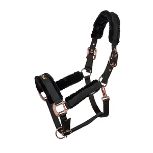 Halter for horse Back on Track Haze image-2