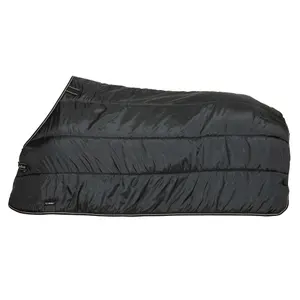 Blanket Back on Track Rhyolite 100 g image-0
