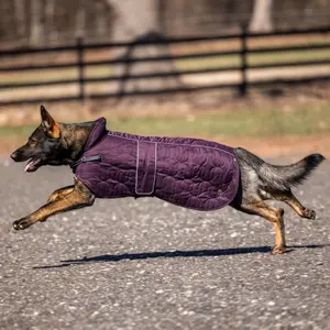 Dog coat Back on Track Deep Knights image-0