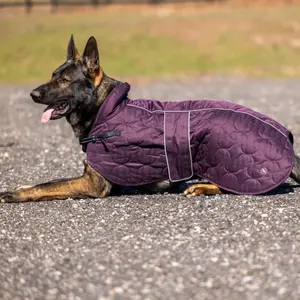 Dog coat Back on Track Deep Knights image-1