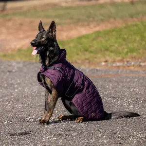 Dog coat Back on Track Deep Knights image-2