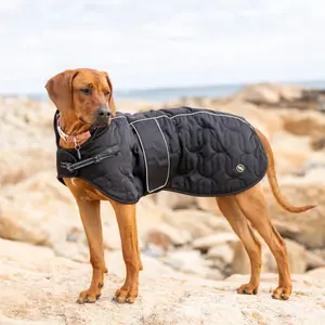 Dog coat Back on Track Deep Knights image-1