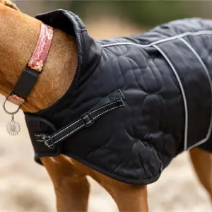 Dog coat Back on Track Deep Knights image-3