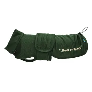 Dog Mesh Shirt Back on Track Buddy image-0