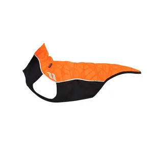 Dog Pull Without Hanger Back on Track Eddie