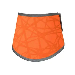 High Visibility Dog Bandana Back on Track Draco image-0