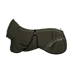 Dog coat Back on Track image-0