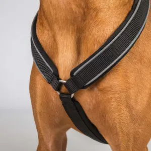 Dog harness Back on Track Sally image-3