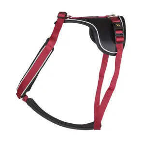 Dog harness Back on Track Max
