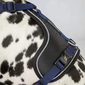 Dog harness Back on Track Max image-2