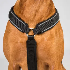 Dog harness Back on Track Max image-1