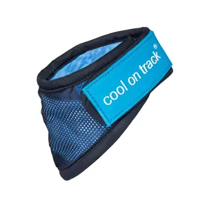 Refreshing dog bandana Back on Track Cool image-0