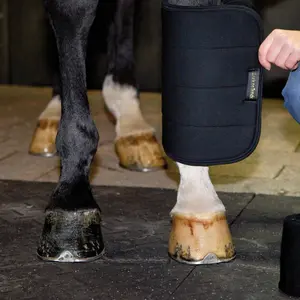 Underbands for horses Back on Track image-2