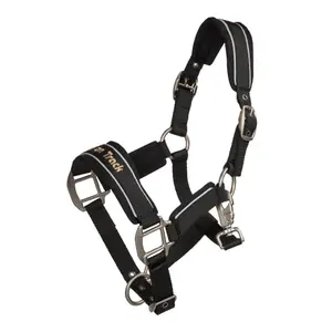 Reflective horse halter Back on Track Werano image-0
