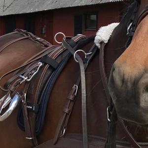 Harness pad Back on Track galena image-3