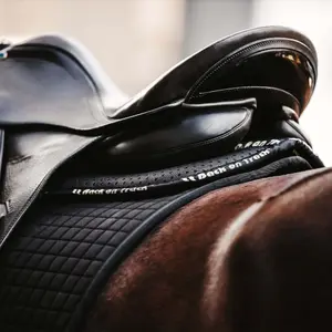 Ammortizzatore per cavalli Back on Track Aurora image-4