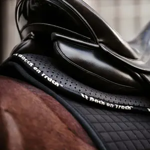 Ammortizzatore per cavalli Back on Track Aurora image-5