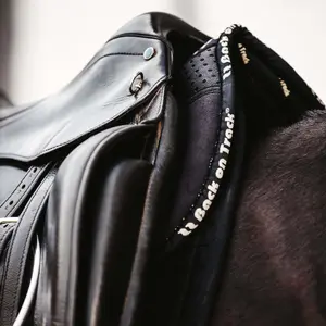 Ammortizzatore per cavalli Back on Track Aurora image-6