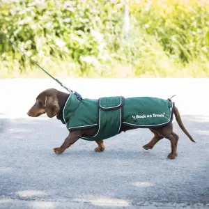 Manteau pour chien Back on Track Buddy image-4