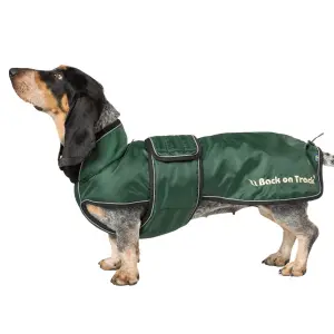 Manteau pour chien Back on Track Buddy image-2