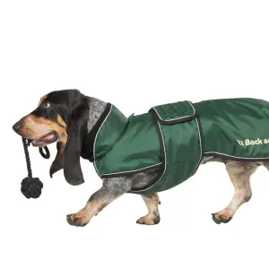 Manteau pour chien Back on Track Buddy image-6