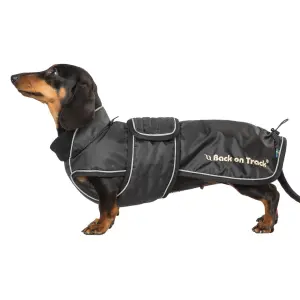 Sierść psa Back on Track Buddy image-1