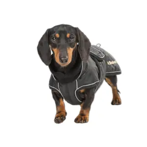 Sierść psa Back on Track Buddy image-2