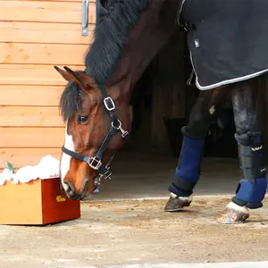Stable boots for horses Back on Track Royal image-1