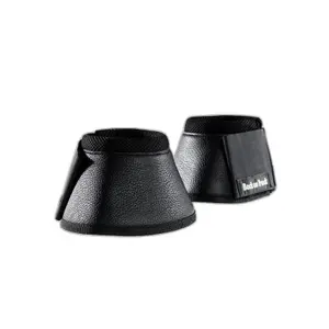 Paardenbellen Back on Track image-0