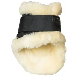 Streichkappen Back on Track image-2